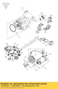 triumph T1300017 gruppo supporto - Il fondo