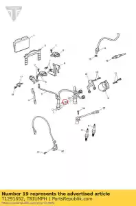 triumph T1291652 ht lood 2 cil lange verbinding - Onderkant