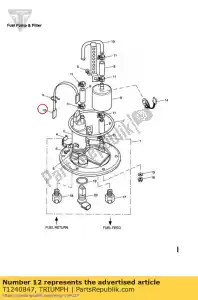 triumph T1240847 plomb de mouche de pompe à carburant - La partie au fond