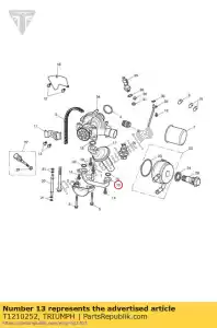 triumph T1210252 tuyau d'alimentation en huile - La partie au fond