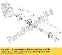 CM100203, Piaggio Group, Centrifugal clutch assy     , New