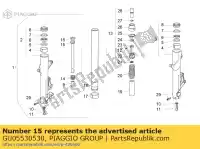 GU05530530, Piaggio Group, Plunjer. compleet moto-guzzi breva breva v ie norge 850 1100 1200 2005 2006 2007, Nieuw