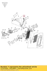 triumph T2107002 refrigerante per bocchettone di riempimento - Il fondo