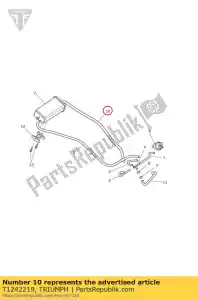 triumph T1242219 tubo flessibile di sfiato - Il fondo