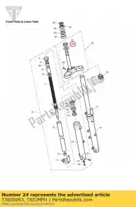 triumph T3600063 guarnizione polvere dia 55 - Il fondo