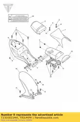 Qui puoi ordinare t2305831-mh corpo posteriore completo da Triumph , con numero parte T2305831MH: