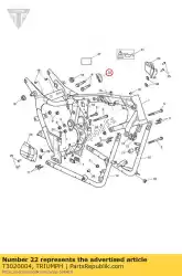 Here you can order the grommet from Triumph, with part number T3020004: