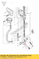 T3750021, Triumph, struik triumph adventurer > 71698 adventurer 71699 > america carbs america efi legend tt scrambler carb scrambler efi speedmaster carbs speedmaster efi thunderbird thunderbird storm 790 844 865 885 1600 1700 1995 1996 1997 1998 1999 2000 2001 2002 2003 200, Nieuw