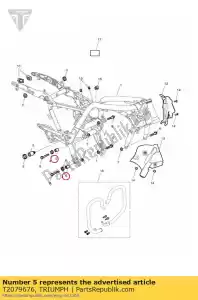 triumph T2079676 ko?nierz z regulacj? - Dół