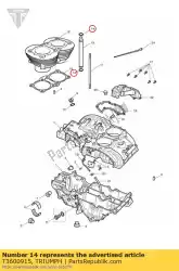 Qui puoi ordinare o id anello 18 x 3 da Triumph , con numero parte T3600915: