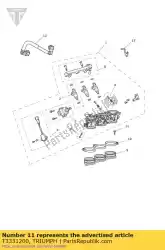 Here you can order the screw csk m6 x 20 t30 slv enc from Triumph, with part number T3331200: