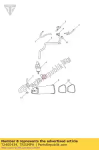 triumph T2400434 w?? przetacza zawór do kanistra - Dół
