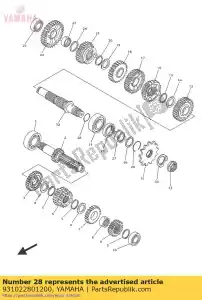 yamaha 931022801200 paraolio - Il fondo