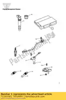 T1299365, Triumph, écu, base triumph speed triple speed triple 210445 > 461331 sprint st 208167 > tiger 1050 1050 2005 2006 2007 2008 2009 2010 2011 2012 2013 2014 2015 2016, Nouveau