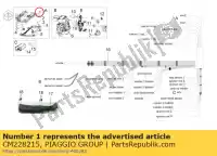 CM228215, Piaggio Group, Electronic injection device aprilia rsv rsv4 1000 2013, New