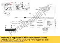 CM228215, Piaggio Group, Dispositivo de injeção eletrônica aprilia rsv rsv4 1000 2013, Novo