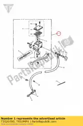 Here you can order the master cylinder assembly from Triumph, with part number T2020780: