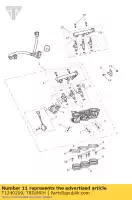 T1240209, Triumph, tubo di alimentazione del carburante strofinare triumph daytona 675 from vin 564948 daytona 675r from vin 564948 675 2013 2014, Nuovo