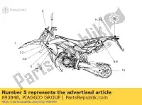 893848, Piaggio Group, decalcomania dx-sx 