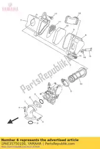 yamaha 1P6E35750100 bande - La partie au fond