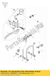 triumph T2021078 remslang gevlochten - Onderkant