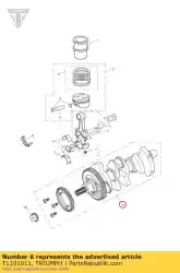 Qui puoi ordinare albero motore, 3 cil da Triumph , con numero parte T1101011: