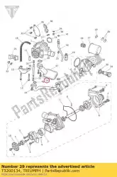 Here you can order the bolt, rhhf, m6x25 blk, encaps from Triumph, with part number T3200134: