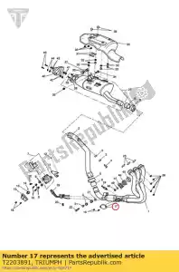 triumph T2203891 coprire la valvola di scarico - Il fondo