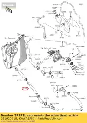 Tutaj możesz zamówić rura, rura (ch? Odnica) -rura zx100 od Kawasaki , z numerem części 391920618: