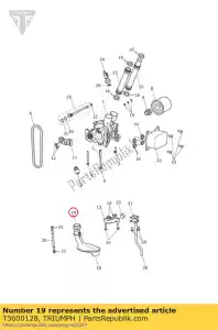 triumph T3600128 filtre à huile de joint - La partie au fond