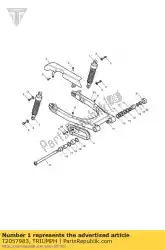 Here you can order the rear suspension unit from Triumph, with part number T2057983:
