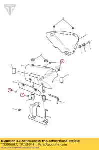 triumph T3300007 rebite farpado - Lado inferior