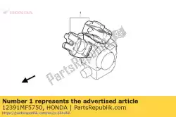 Here you can order the gasket, head cover from Honda, with part number 12391MF5750: