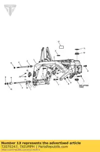 triumph T2070247 regolatore di altezza forcellone, rh - Il fondo