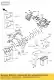 Câble, batterie (+) Kawasaki 260117507