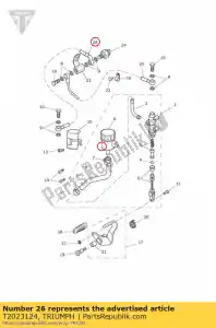 triumph T2023124 tubo freno flessibile - Il fondo