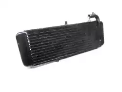 Here you can order the radiator from Aprilia, with part number AP8101817: