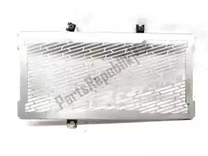 kawasaki 390615001 radiator protection - Right side