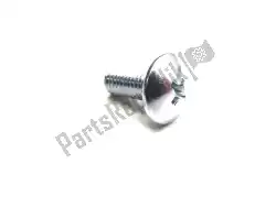 Here you can order the screw from Suzuki, with part number 0214205127: