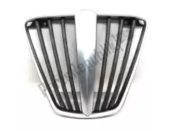 Here you can order the radiator protection from Piaggio, with part number 655793: