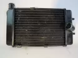 Here you can order the radiator from Aprilia (Ducati), with part number AP8102951: