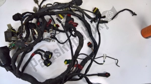 aprilia 851633 wiring - Left side