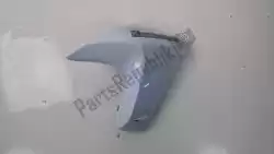 Here you can order the fairing part from Kawasaki, with part number MTSP20190705114539: