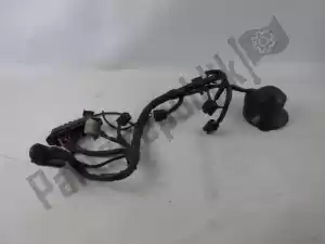 Ducati 51010401C wire harness - Right side