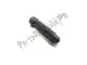 Nipplo di spurgo della pinza freno Ducati 61240231A