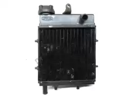 Here you can order the radiator from Aprilia, with part number AP8101368: