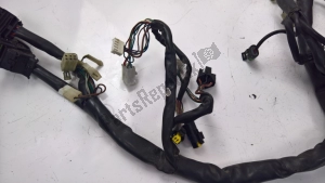 aprilia AP8127297 injection wiring - Right side