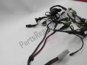 Ducati 51012272a arnés de cables - imagen 18 de 20