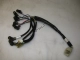 Dashboard wiring + lamps Aprilia AP8212447