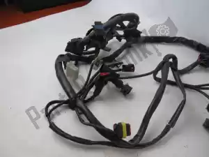 Ducati 51010401A wire harness - Plain view